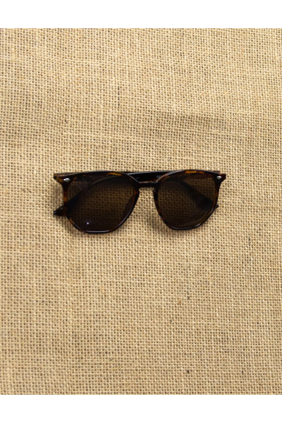 Luxury S5082R Women's Brown Sunglasses with Leopard Bone Frame